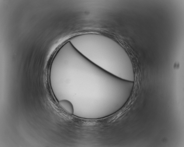 X0000115620342200911101101