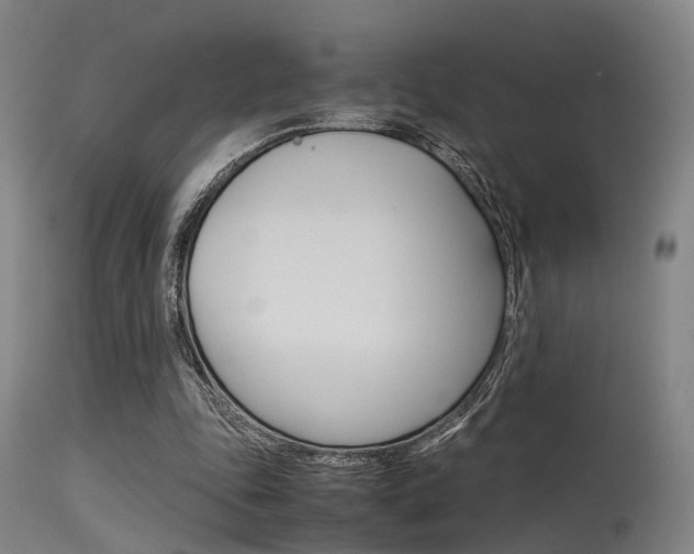 X0000115620343200911101101