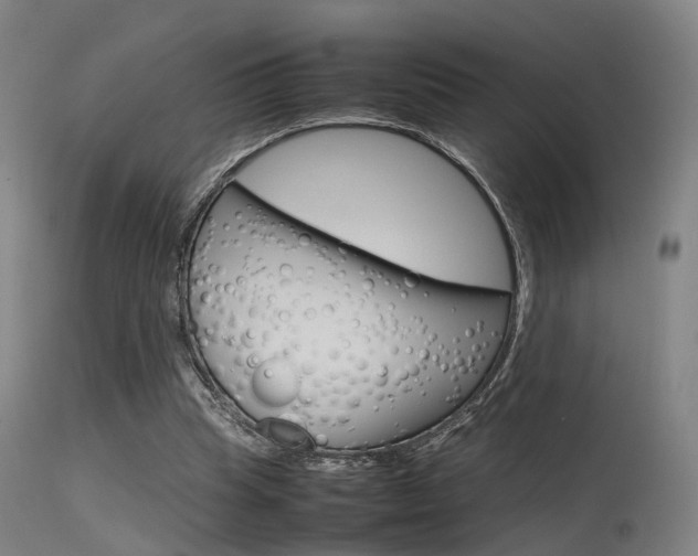 X0000115620345200911101101