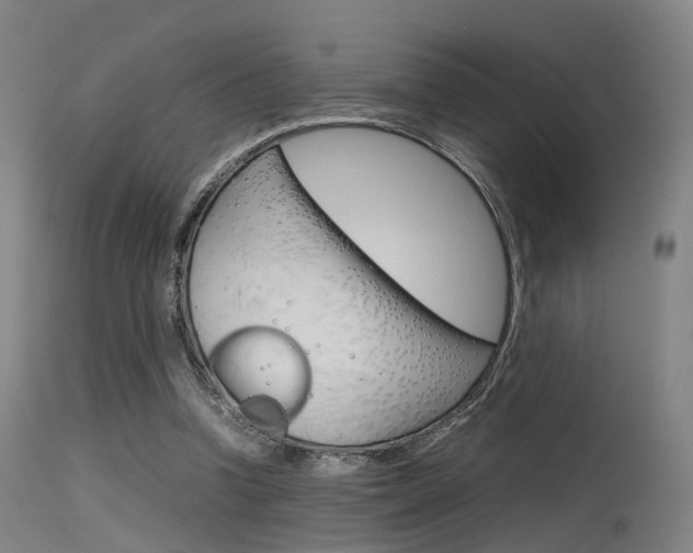 X0000115620346200911101101