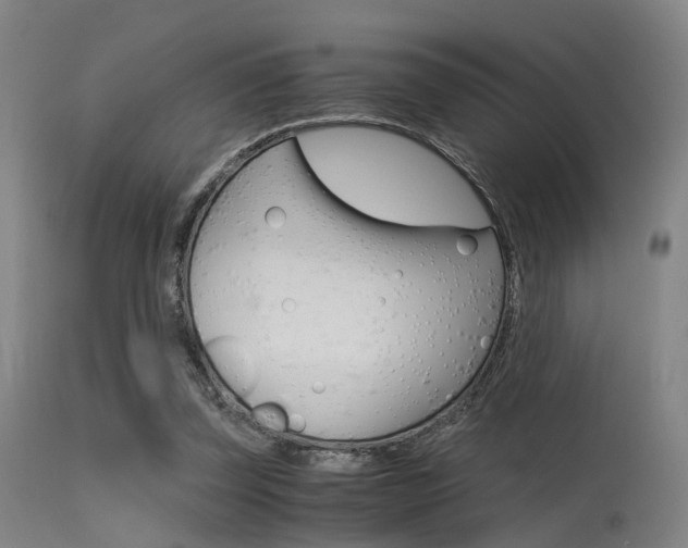 X0000115620347200911101101