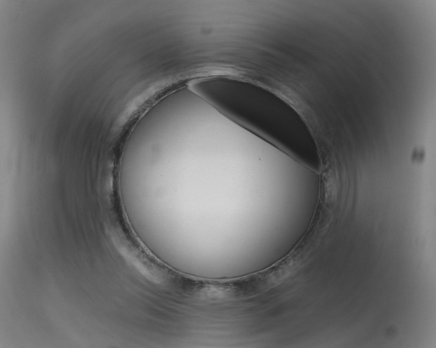 X0000115620350200911101101