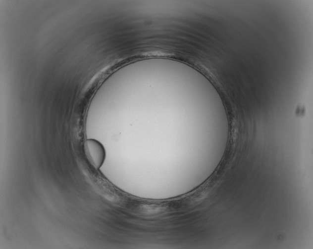 X0000115620351200911101101