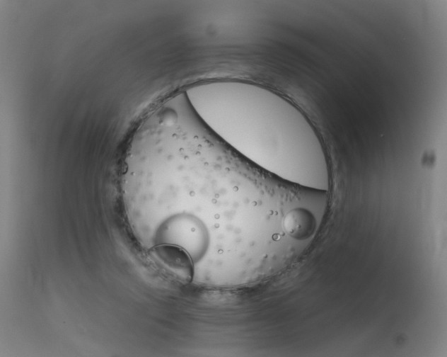 X0000115620354200911101101