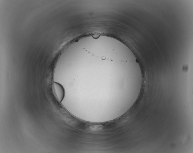 X0000115620355200911101101