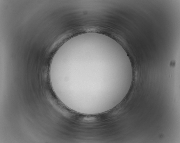 X0000115620357200911101101