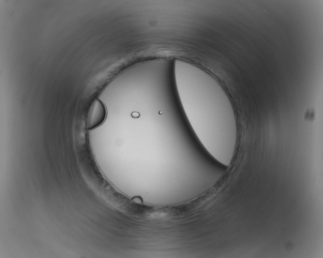 X0000115620358200911101101