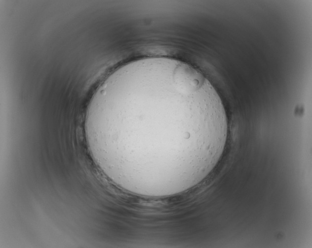 X0000115620359200911101101