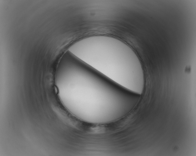 X0000115620362200911101101