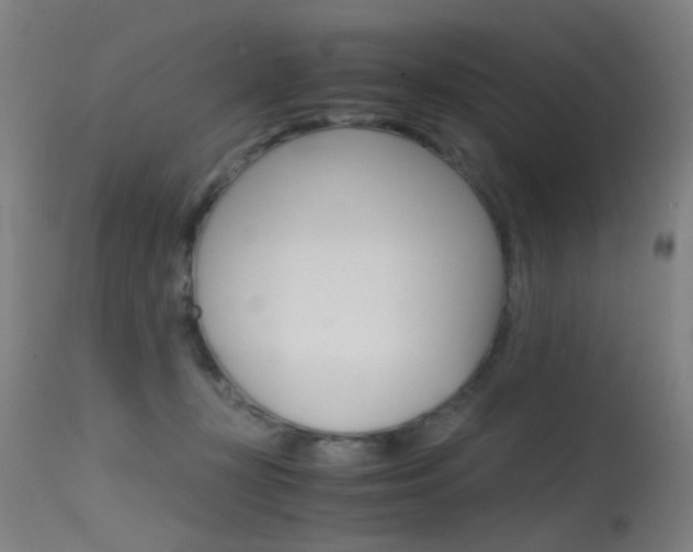 X0000115620367200911101101