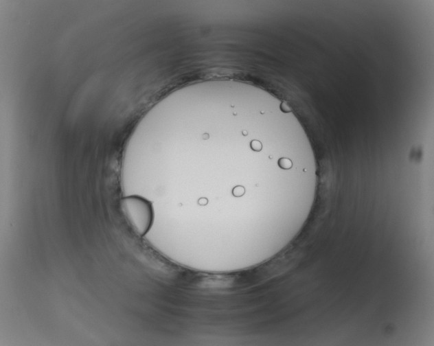 X0000115620369200911101101