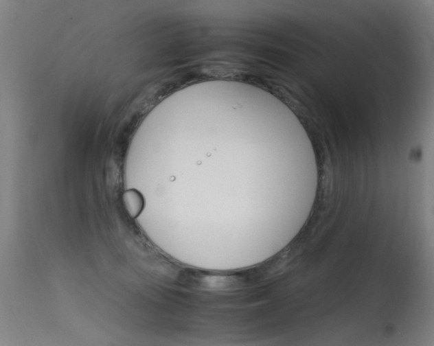 X0000115620371200911101101