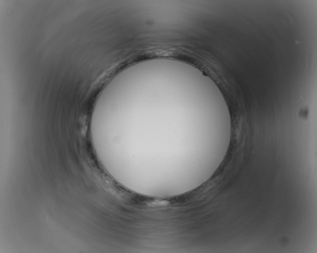 X0000115620374200911101101