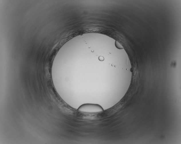 X0000115620377200911101101