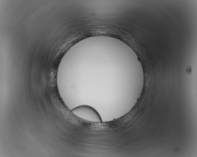 X0000115620378200911101101