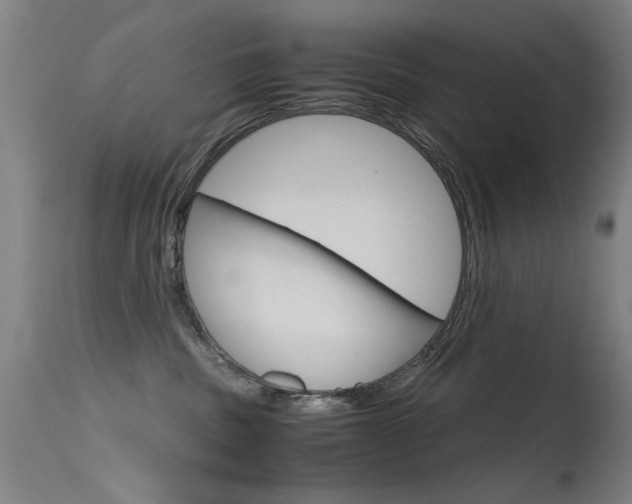 X0000115620379200911101101