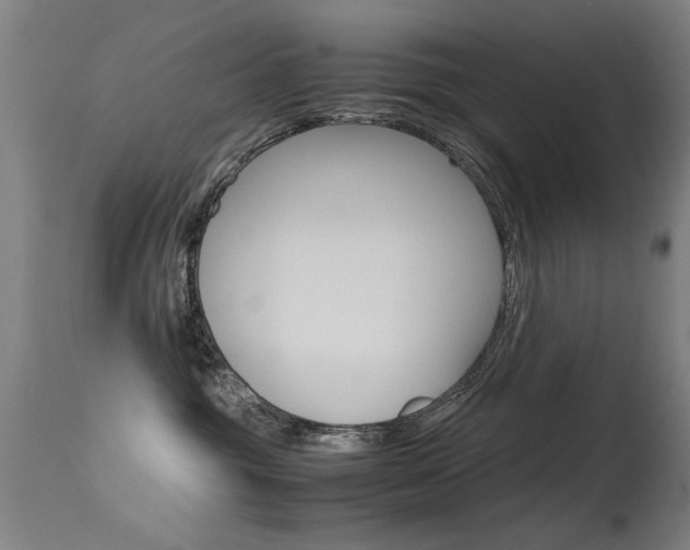 X0000115620381200911101101