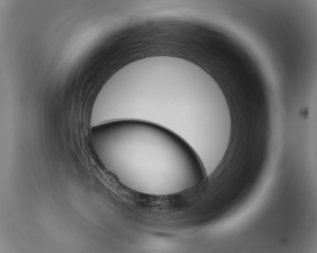 X0000115620382200911101101