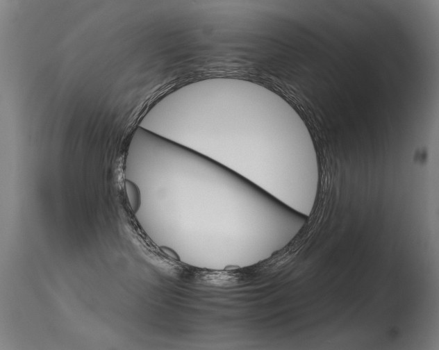 X0000115620383200911101101