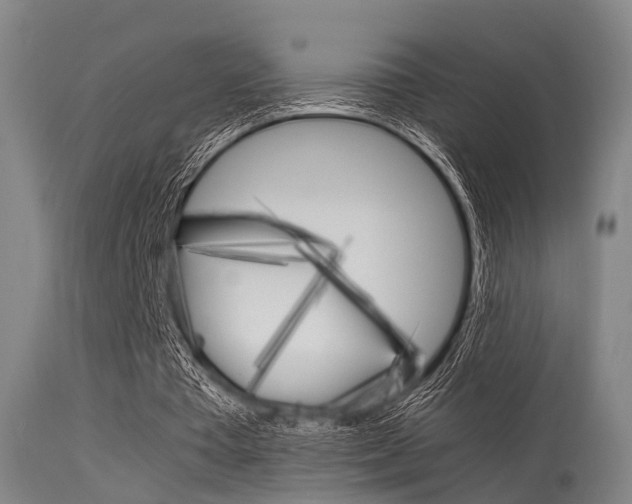 X0000115620385200911101101