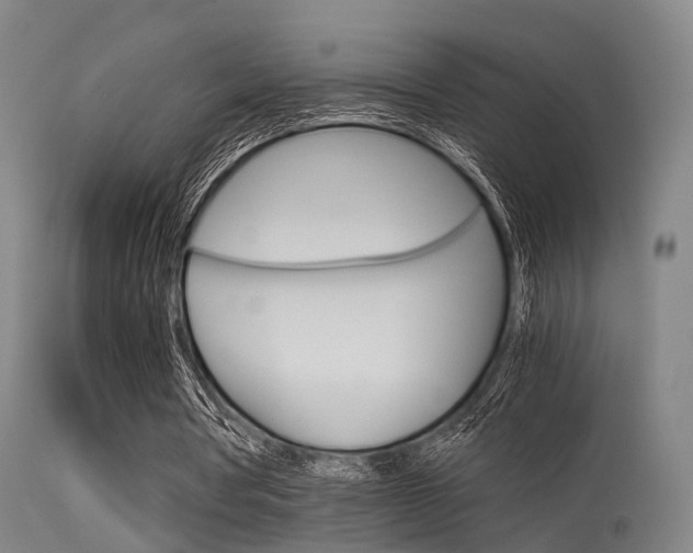 X0000115620386200911101101