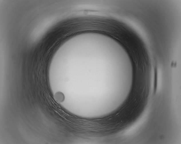 X0000115620387200911101101