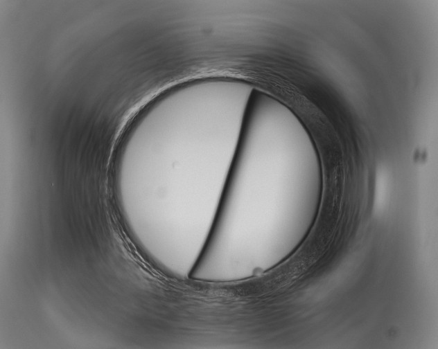 X0000115620388200911101101