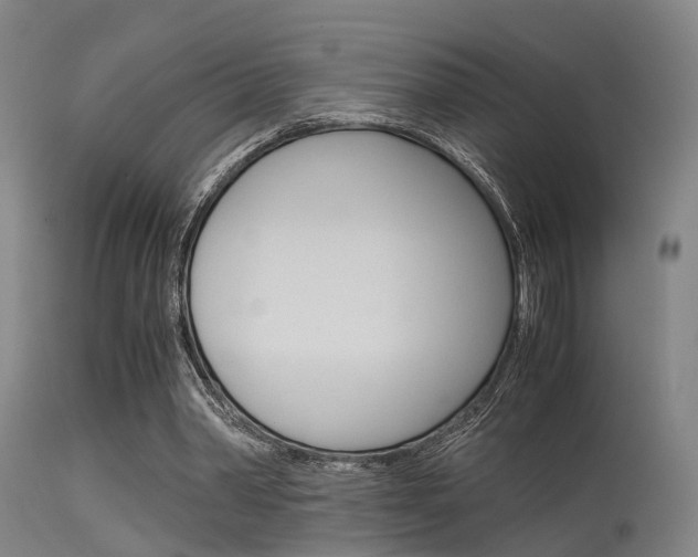 X0000115620390200911101101