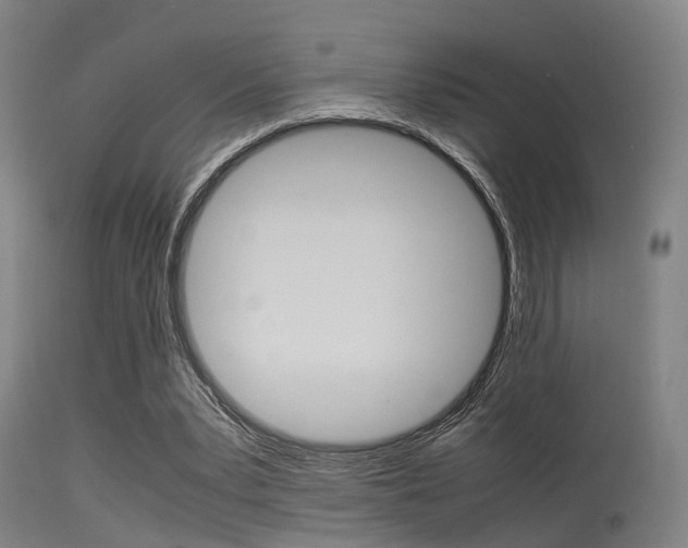 X0000115620391200911101101