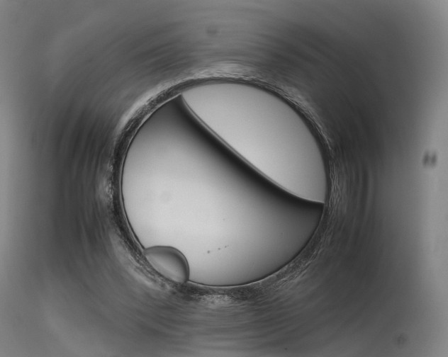 X0000115620392200911101101