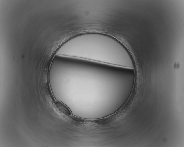 X0000115620393200911101101