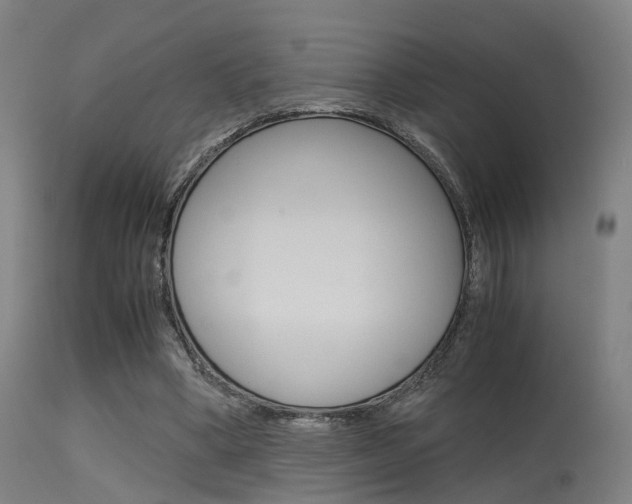 X0000115620394200911101101