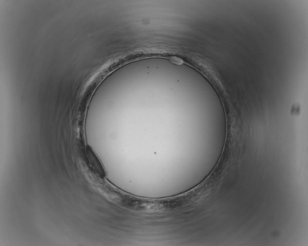 X0000115620395200911101101