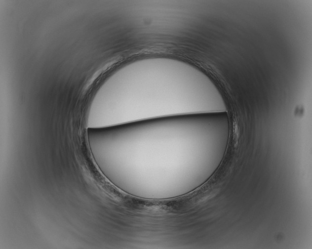 X0000115620396200911101101