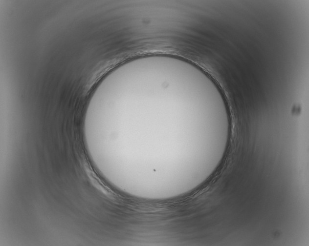 X0000115620397200911101100