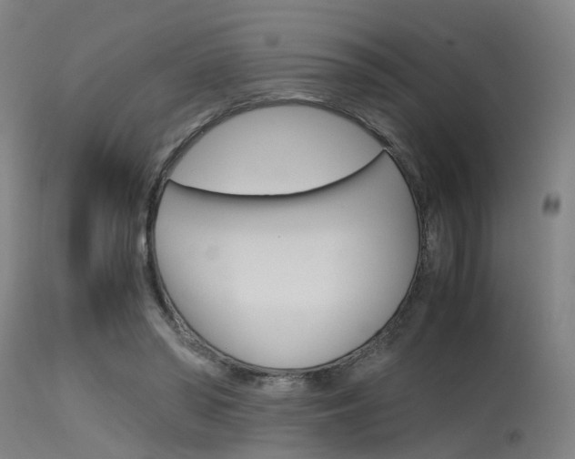 X0000115620398200911101100