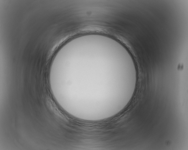 X0000115620399200911101100