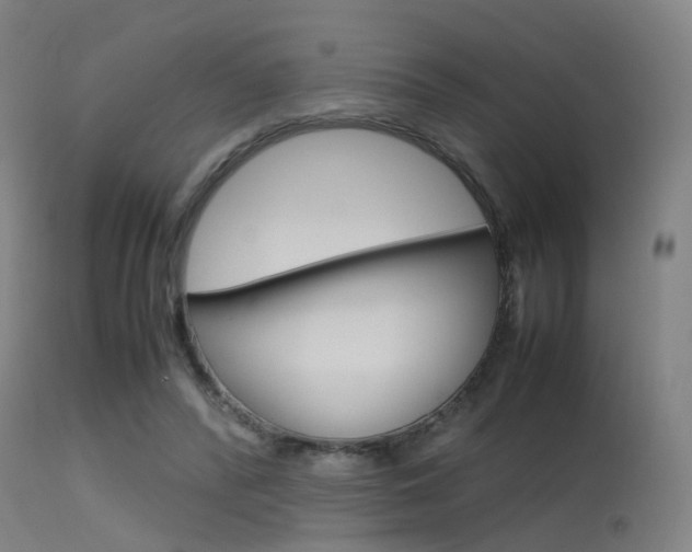 X0000115620400200911101100