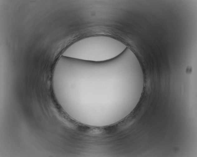 X0000115620402200911101100