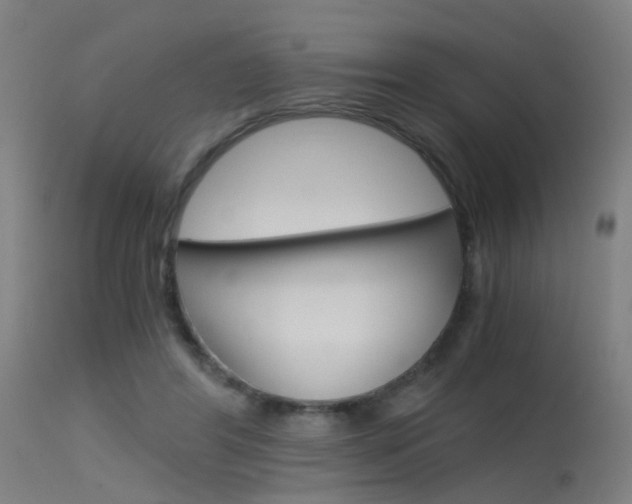 X0000115620404200911101100