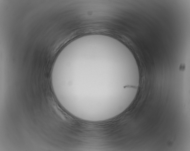 X0000115620405200911101100