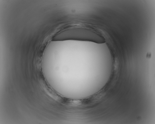 X0000115620409200911101100