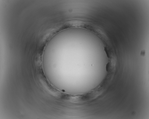 X0000115620411200911101100