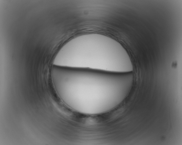 X0000115620412200911101100