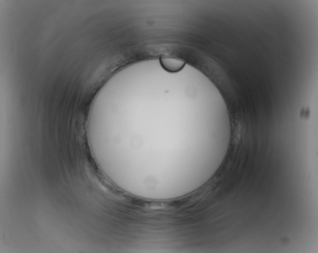 X0000115620414200911101100