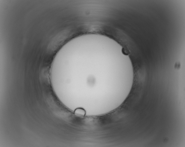 X0000115620415200911101100