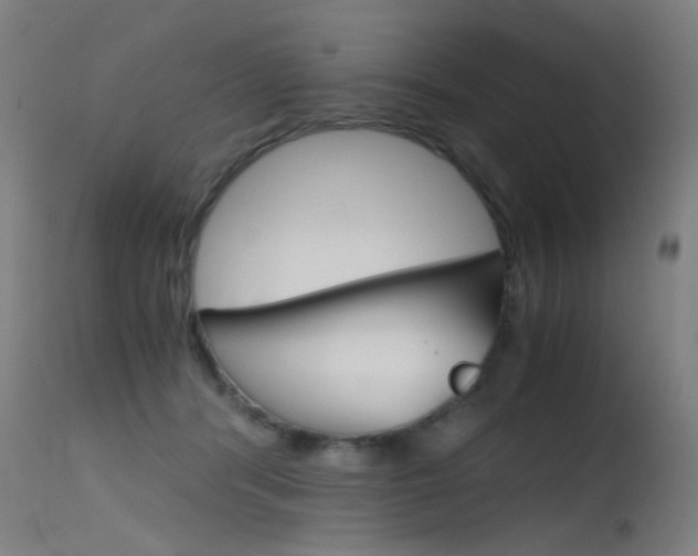 X0000115620416200911101100