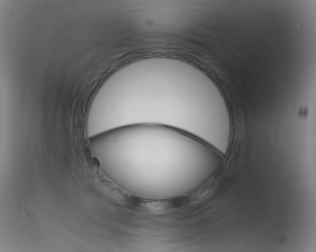 X0000115620417200911101100