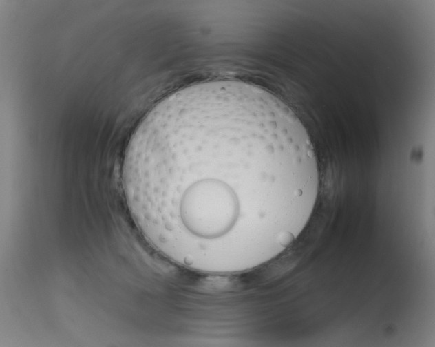 X0000115620418200911101100