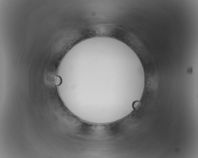 X0000115620419200911101100